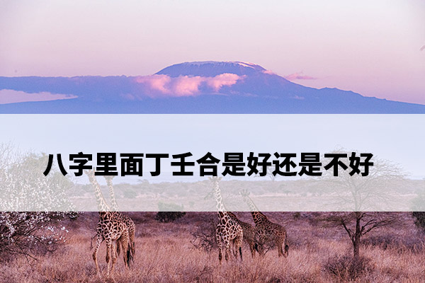 1673327760185660.jpg pexels-photo-13255677.jpg