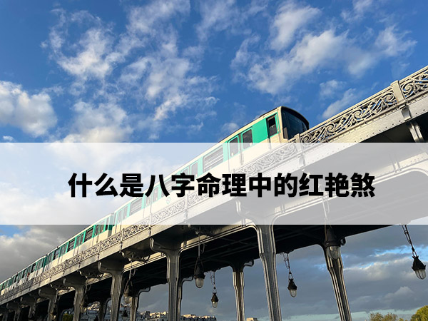 1673404991742542.jpg pexels-photo-13848612.jpg