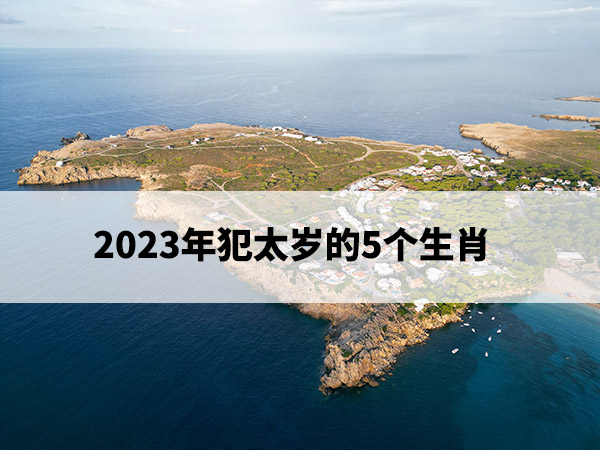 1673410007703817.jpg pexels-photo-13717524.jpg