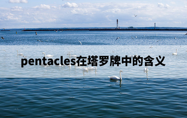 1673491549696234.jpg pexels-photo-14769697.jpg