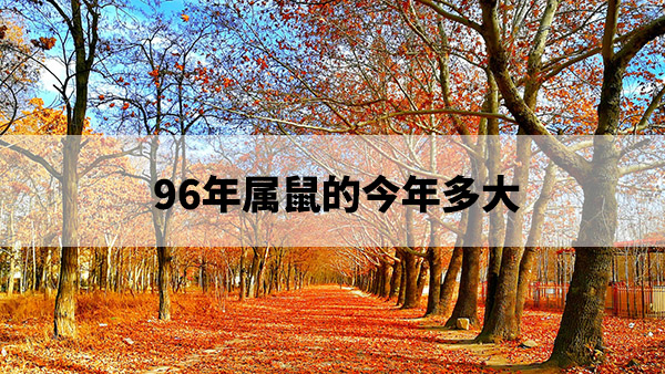 1673756573933959.jpg pexels-photo-693521.jpg