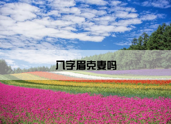 flower-garden-blue-sky-hokkaido-japan-60628.jpg