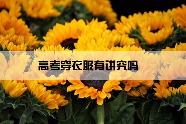 sunflower-blossom-bloom-flowers-54267.jpg