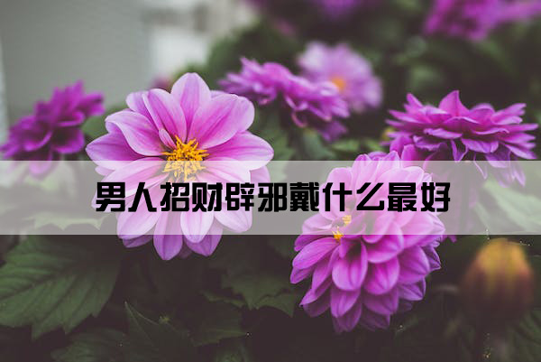 1673838050389717.jpg pexels-photo-542517.jpg