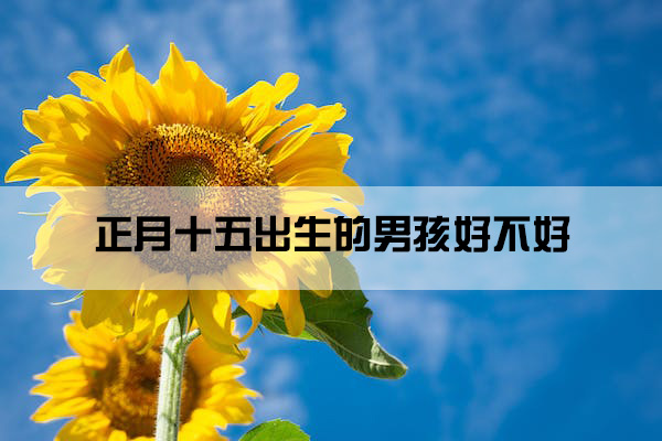 1673920210106204.jpg pexels-photo-1303216.jpg