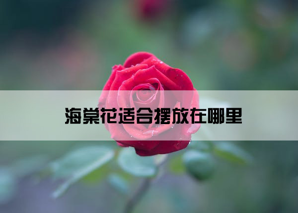 1673920713213084.jpg pexels-photo-214667.jpg