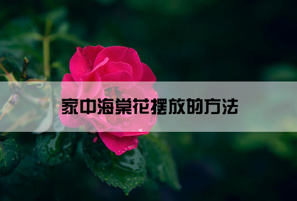 1673920773130332.jpg pexels-photo-1248735.jpg