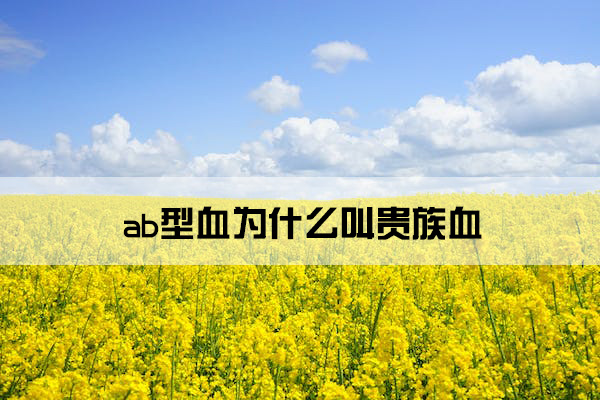 field-of-rapeseeds-oilseed-rape-blutenmeer-yellow-46164.jpg