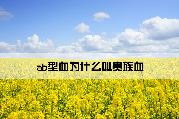1673934189380915.jpg field-of-rapeseeds-oilseed-rape-blutenmeer-yellow-46164.jpg
