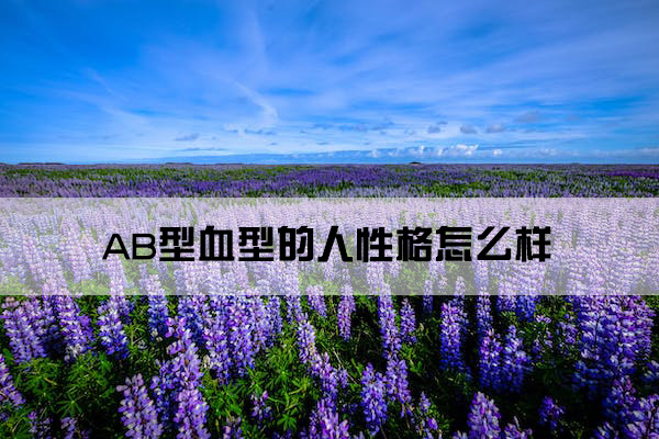 1673934235392186.jpg pexels-photo-464336.jpg