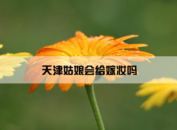 flower-field-orange-dewdrop-159219.jpg
