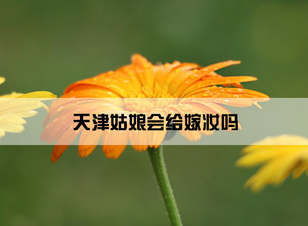 1673936785324304.jpg flower-field-orange-dewdrop-159219.jpg