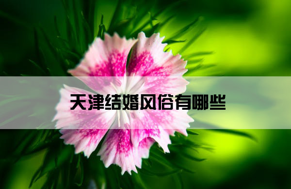 1673936937678296.jpg pexels-photo.jpg