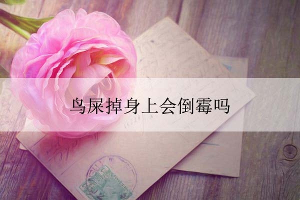 1674020991887728.jpeg pexels-photo-272243 拷贝.jpeg