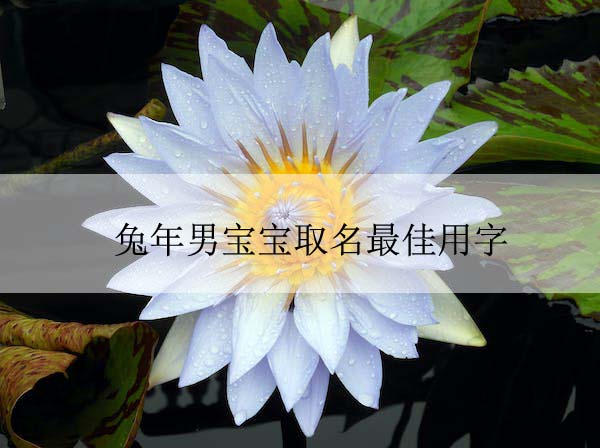 1674021764132545.jpeg pexels-photo-37996 拷贝.jpeg