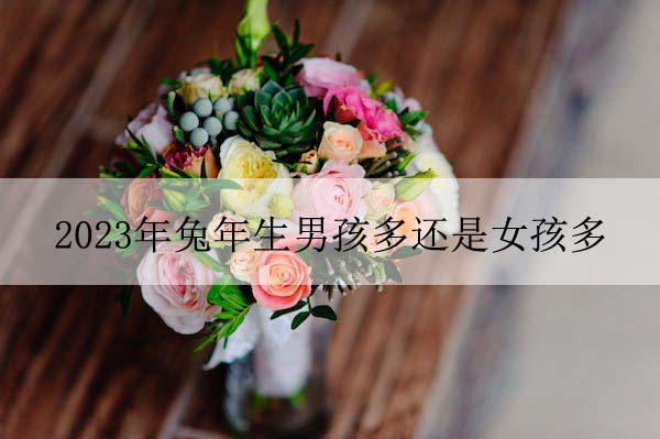 1674022424449142.jpeg pexels-photo-226145 拷贝.jpeg