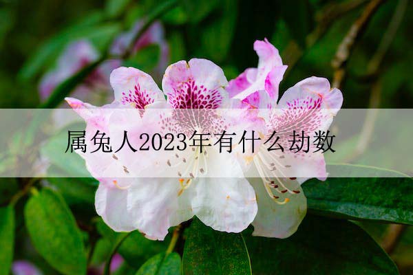 1674022598116481.jpeg pexels-photo-1007055 拷贝.jpeg