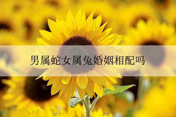 pexels-photo-1169084 拷贝.jpeg