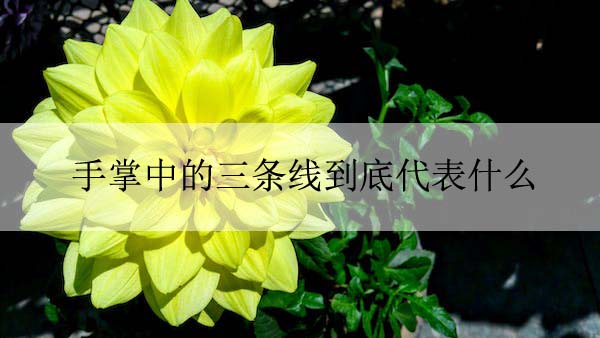 pexels-photo-368724 拷贝.jpeg