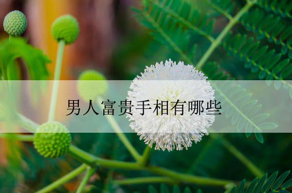 pexels-photo-997209 拷贝.jpeg