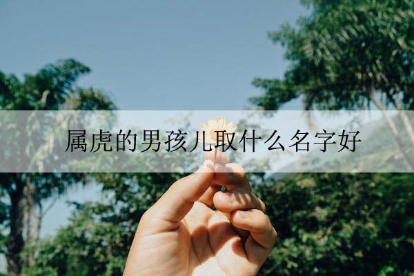 pexels-photo-954386 拷贝.jpeg