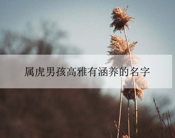 pexels-photo-869329 拷贝.jpeg