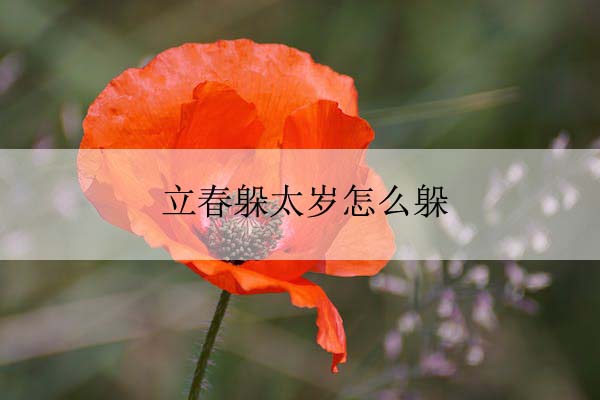 pexels-photo-1130430 拷贝.jpeg