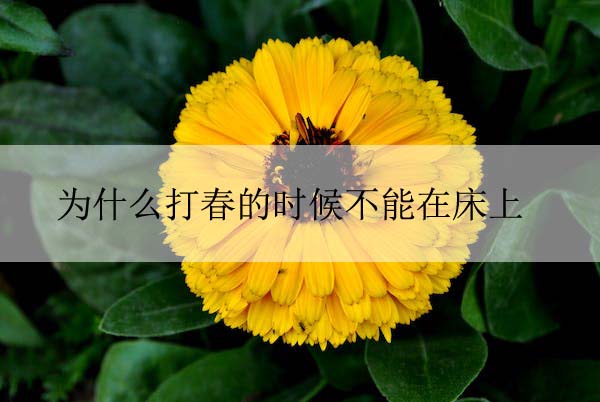 pexels-photo-59154 拷贝.jpeg