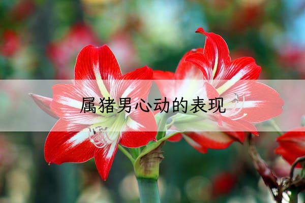 1674090187213191.jpeg pexels-photo-696996 拷贝.jpeg