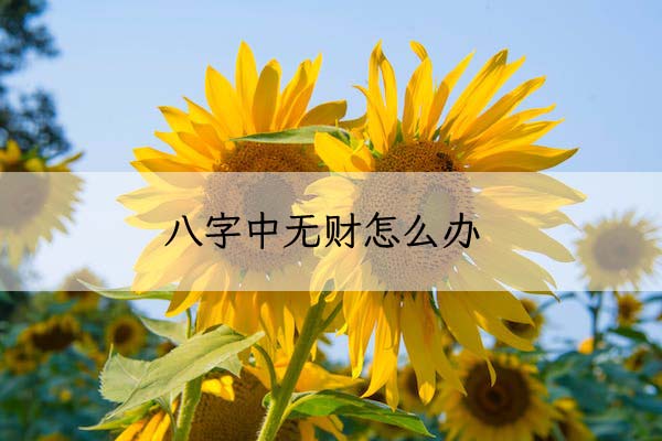 1674090860117573.jpeg pexels-photo-635506 拷贝.jpeg