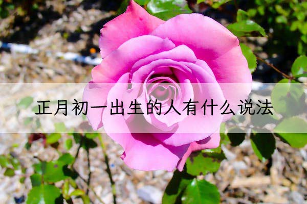 1674098318106451.jpeg pexels-photo-669248 拷贝.jpeg