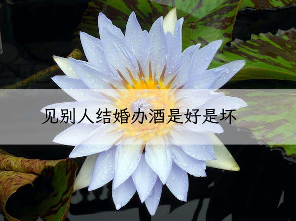 pexels-photo-37996 拷贝.jpeg