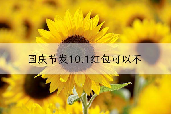 1674099859162748.jpeg pexels-photo-1169084 拷贝.jpeg