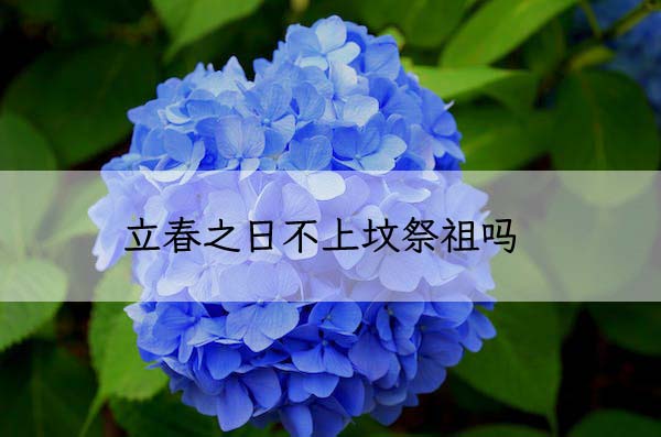 1674101380428987.jpeg pexels-photo-414510 拷贝.jpeg