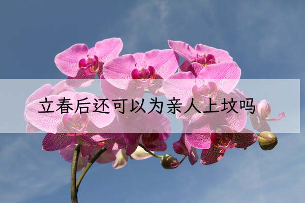 1674101432174928.jpeg pexels-photo-66181 拷贝.jpeg