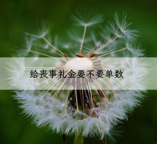 1674102659678052.jpg dandelion-plant-nature-flower 拷贝.jpg