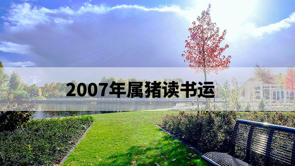 1674959218127251.jpg pexels-photo-233237.jpg