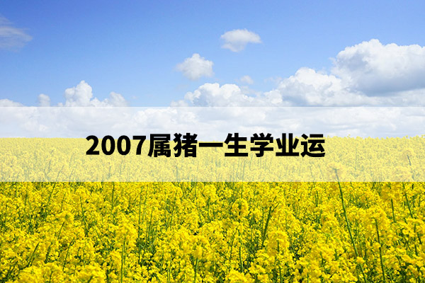 field-of-rapeseeds-oilseed-rape-blutenmeer-yellow-46164.jpg