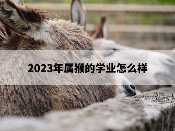 1675135317266126.jpg pexels-photo-11922254.jpg