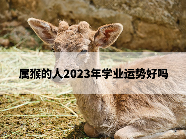 1675135372284927.jpg pexels-photo-11922318.jpg