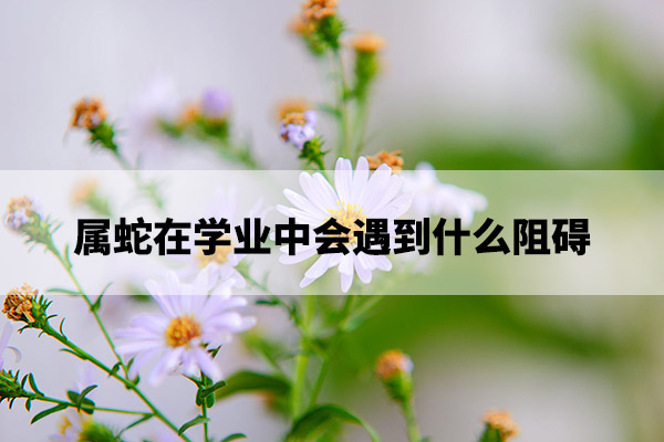 1675137233167705.jpg pexels-photo-136301.jpg