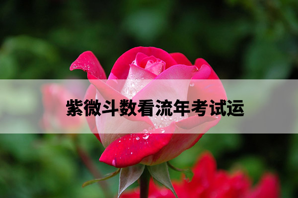 1675148275560973.jpg garden-rose-red-pink-56866.jpg