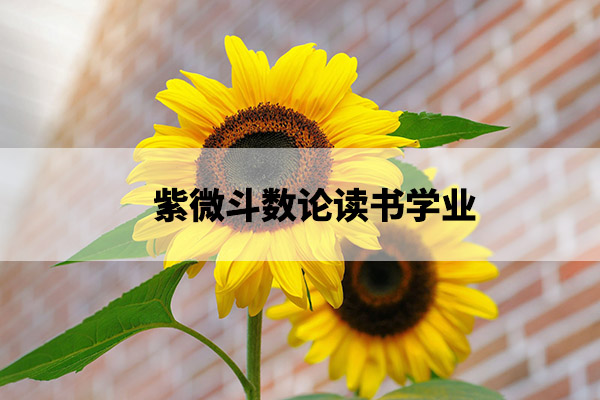 1675148317104074.jpg sunflower-flowers-bright-yellow-46216.jpg