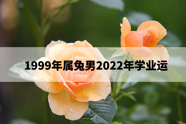 rose-flower-blossom-bloom-39517.jpg