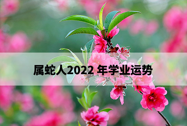 1675217656342757.jpg pexels-photo-641559.jpg