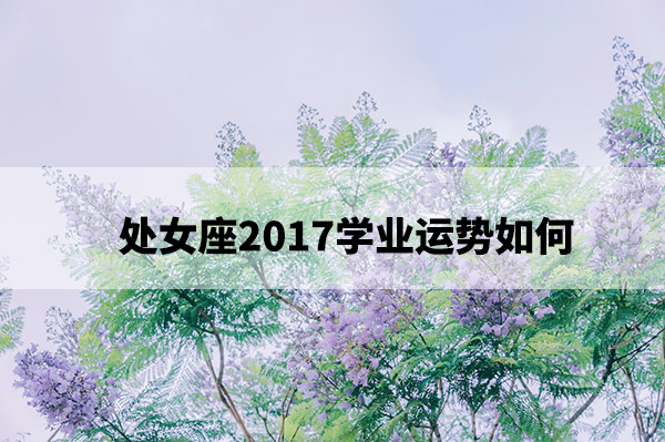 1675221954167489.jpg pexels-photo-1406863.jpg