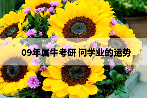 1675223079209035.jpg pexels-photo-712098.jpg