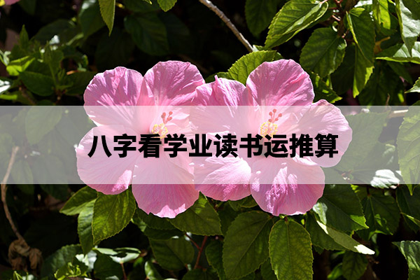 1675226072111060.jpg pexels-photo-414057.jpg