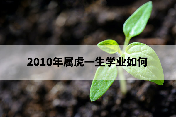 1675226902464327.jpg pexels-photo-1002703.jpg