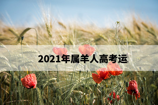 1675231325837042.jpg pexels-photo-461284.jpg